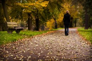 photo, Original, Forest, Autumn, Woman, Mood, Leaf, Tree, Road