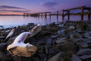 beach, Ocean, Sea, Water, Sunset, Rocks, Stones, Pier, Decay, Ruins