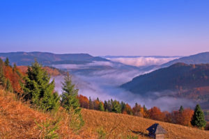 fall, Hills, Mountains, Trees, Landscape