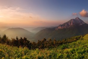 mountains, Clouds, Forest, Grass, 2560×1600