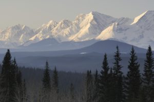 taiga, Mountains, Snow, Trees, Forest, Scenic, 1920×1200