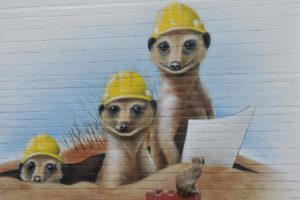 graffiti, Wall, Animals, Humor, Meerkat, Meerkats, Humor, Cute, Funny