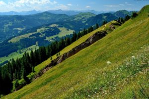 mountains, Hills, Sky, Forest, Nature