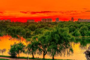 romania, Park, Pond, Trees, Landscape