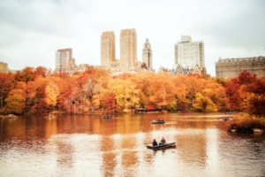 new, York, Manhattan, Usa, New, York, City, Nyc, Central, Park, Autumn