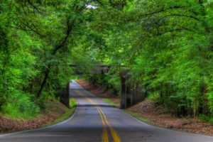 road, Trees, Bridge, Landscape, Tree, Forest