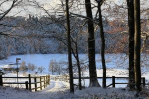 nature, Landscapes, Trees, Forest, Roads, Tracks, Fencle, Line, Hills, Winter, Snow, Seasons, Fields, Farm, Pasture, Animals, Horses, Architecture, Buildings, Houses, Leaves, Cold