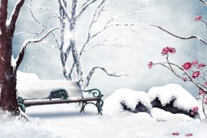 nature, Landscapes, Trees, Park, Garden, Bench, Plants, Winter, Snow, Seasons, Cold, Flowers, Leaves, Art, Artistic, Paintings