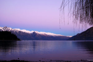 violet, Mountains, View