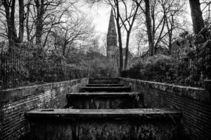 bw, Trees, Steeple, Tower, Fence, Black, White, Monochrome, Cathedral, Church, Architecture, Buildings