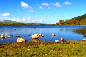 landscapes, Nature, Wild, Clouds, Season, Blue, Earth, Beautiful, Trees, Sun, Sunset, Sunlight, Skyscapes, Background