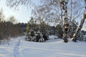 winter, Nature, Snow, Beautiful, Lovely, Landscape, Landscapes