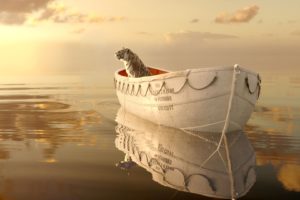 life, Of, Pi, Family, Adventure, Drama, Fantasy, Tiger, 3 d, Animation, 1lifepi, Friend, Shipwreck, Predator, Tiger, Ocean, Sea, Voyage, Ship, Boat