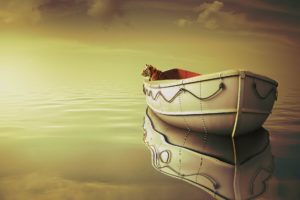 life, Of, Pi, Family, Adventure, Drama, Fantasy, Tiger, 3 d, Animation, 1lifepi, Friend, Shipwreck, Predator, Tiger, Ocean, Sea, Voyage, Ship, Boat