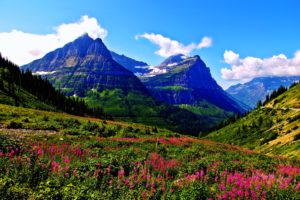 spring, Mountains, Landscapes, Sky, Clouds, Flowers, Grass, Green, Plants, Hills, Nature, Earth, Trees, Forest