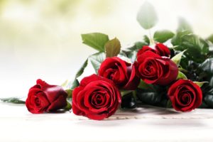 roses, Red, Flowers, Love, Romance, Emotions, 4you, Bouquet, Spring