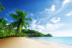 nature, Scenery, Sea, Beach, Sky, Clouds, Palm, Trees, Ocean, Tropical