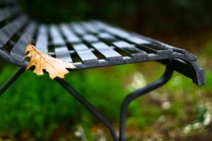 landscape, Beauty, Iron, Bench, Yellow, Leaf