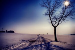 winter, Snow, Landscape, Nature