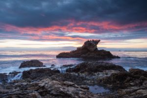 sea, Ocean, Beach, Stones, Rocks, Birds, Evening, Sunset, Sky, Clouds