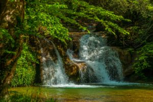 waterfalls, Spain, Garrotxa, Volcanic, Zone, Nature