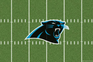 carolina, Panthers, Nfl, Football, Tj