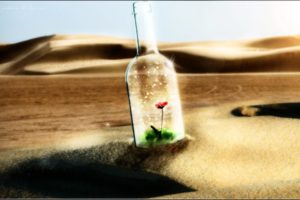 bokeh, Manipulation, Cg, Digital, Art, Desert, Dunes, Landscapes, Bottle, Flowers, Dream, Contrast, Glass, Mood