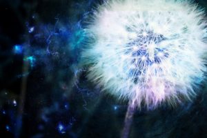 dandelion, Blue, Energy, Cg, Digital, Art, Manipulations, Nature, Plants, Sci fi, Space, Stars, Psychedelic