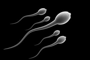 sperm, Abstraction, Abstract, Bokeh, Life, Sex, Sexual, Medical, Dna, Male, Man, Men, 1sperm, Mating, Psychedelic, Egg, Cell, Eggs, Swim, Swimming, Vector