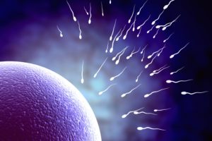 sperm, Abstraction, Abstract, Bokeh, Life, Sex, Sexual, Medical, Dna, Male, Man, Men, 1sperm, Mating, Psychedelic, Egg, Cell, Eggs, Swim, Swimming, Vector