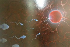 sperm, Abstraction, Abstract, Bokeh, Life, Sex, Sexual, Medical, Dna, Male, Man, Men, 1sperm, Mating, Psychedelic, Egg, Cell, Eggs, Swim, Swimming, Vector