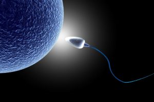 sperm, Abstraction, Abstract, Bokeh, Life, Sex, Sexual, Medical, Dna, Male, Man, Men, 1sperm, Mating, Psychedelic, Egg, Cell, Eggs, Swim, Swimming, Vector