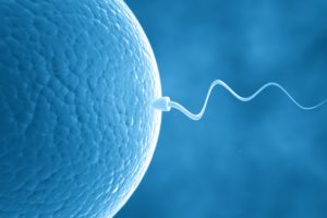 sperm, Abstraction, Abstract, Bokeh, Life, Sex, Sexual, Medical, Dna, Male, Man, Men, 1sperm, Mating, Psychedelic, Egg, Cell, Eggs, Swim, Swimming, Vector