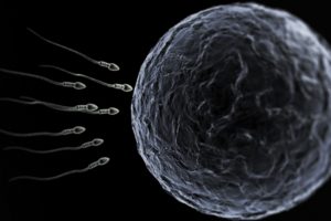 sperm, Abstraction, Abstract, Bokeh, Life, Sex, Sexual, Medical, Dna, Male, Man, Men, 1sperm, Mating, Psychedelic, Egg, Cell, Eggs, Swim, Swimming, Vector