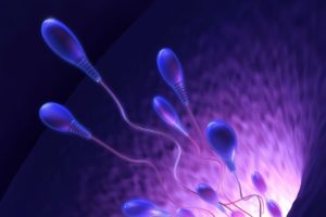 sperm, Abstraction, Abstract, Bokeh, Life, Sex, Sexual, Medical, Dna, Male, Man, Men, 1sperm, Mating, Psychedelic, Egg, Cell, Eggs, Swim, Swimming, Vector