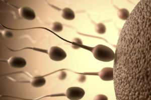 sperm, Abstraction, Abstract, Bokeh, Life, Sex, Sexual, Medical, Dna, Male, Man, Men, 1sperm, Mating, Psychedelic, Egg, Cell, Eggs, Swim, Swimming, Vector