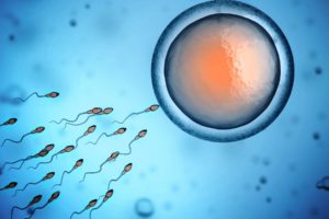 sperm, Abstraction, Abstract, Bokeh, Life, Sex, Sexual, Medical, Dna, Male, Man, Men, 1sperm, Mating, Psychedelic, Egg, Cell, Eggs, Swim, Swimming, Vector