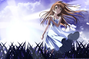 brown, Hair, Clannad, Dress, Illusionary, Girl, Long, Hair, Sky, Summer, Dress, Vector