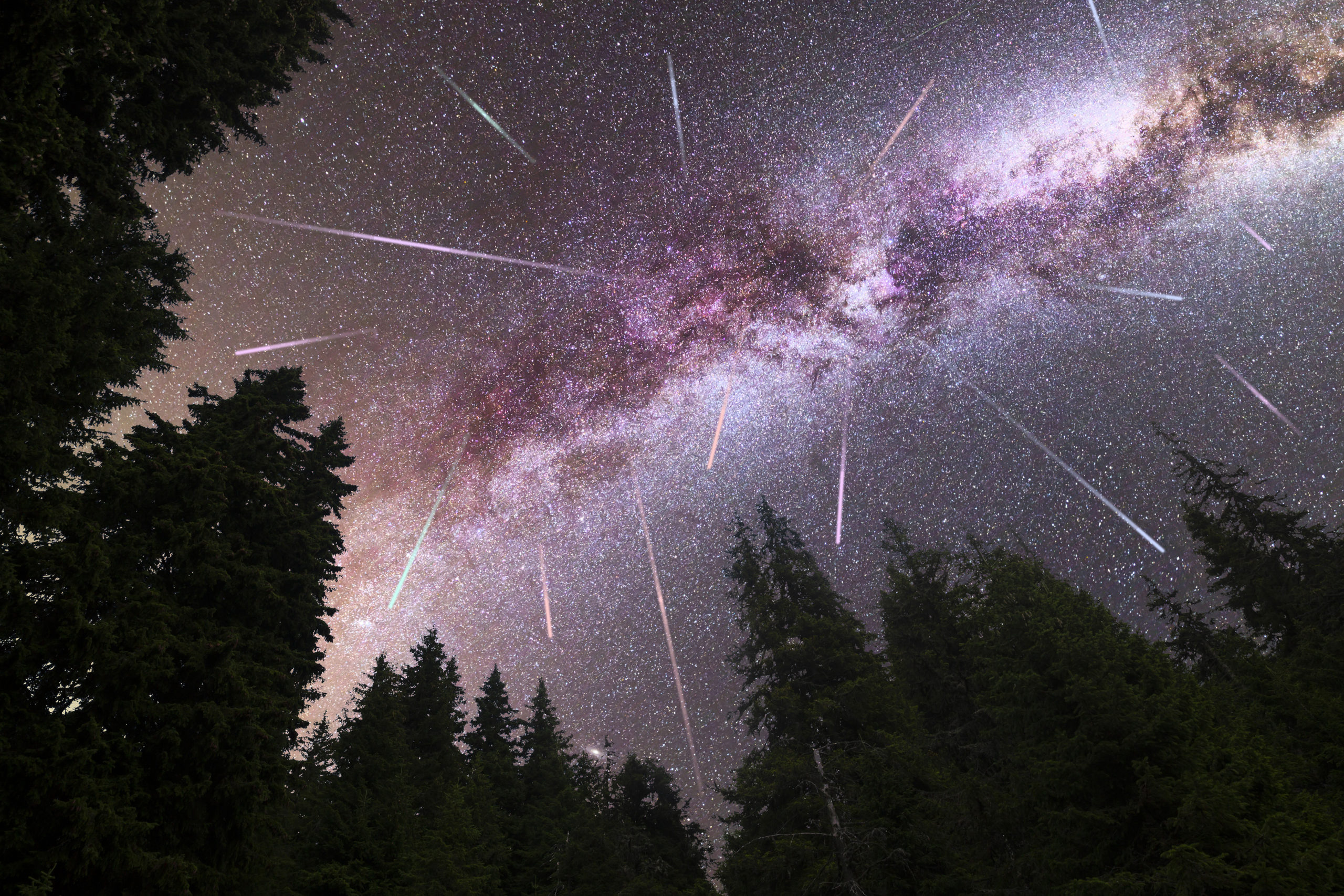 A View Of A Meteor Shower And The Purple Milky Way With Pine Tre