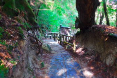 Yakushima