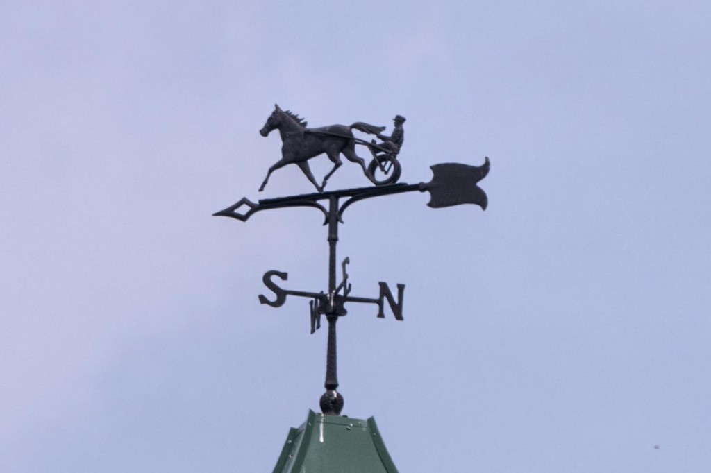 Harness Racing Weathervane