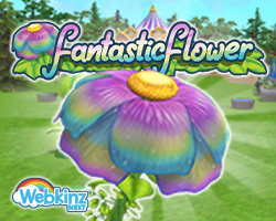 Fantastic Flower