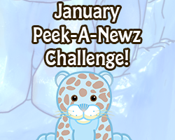 Peek-A-Newz Challenge