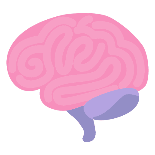 Brain vector png, Brain vector png Transparent FREE for download on ...