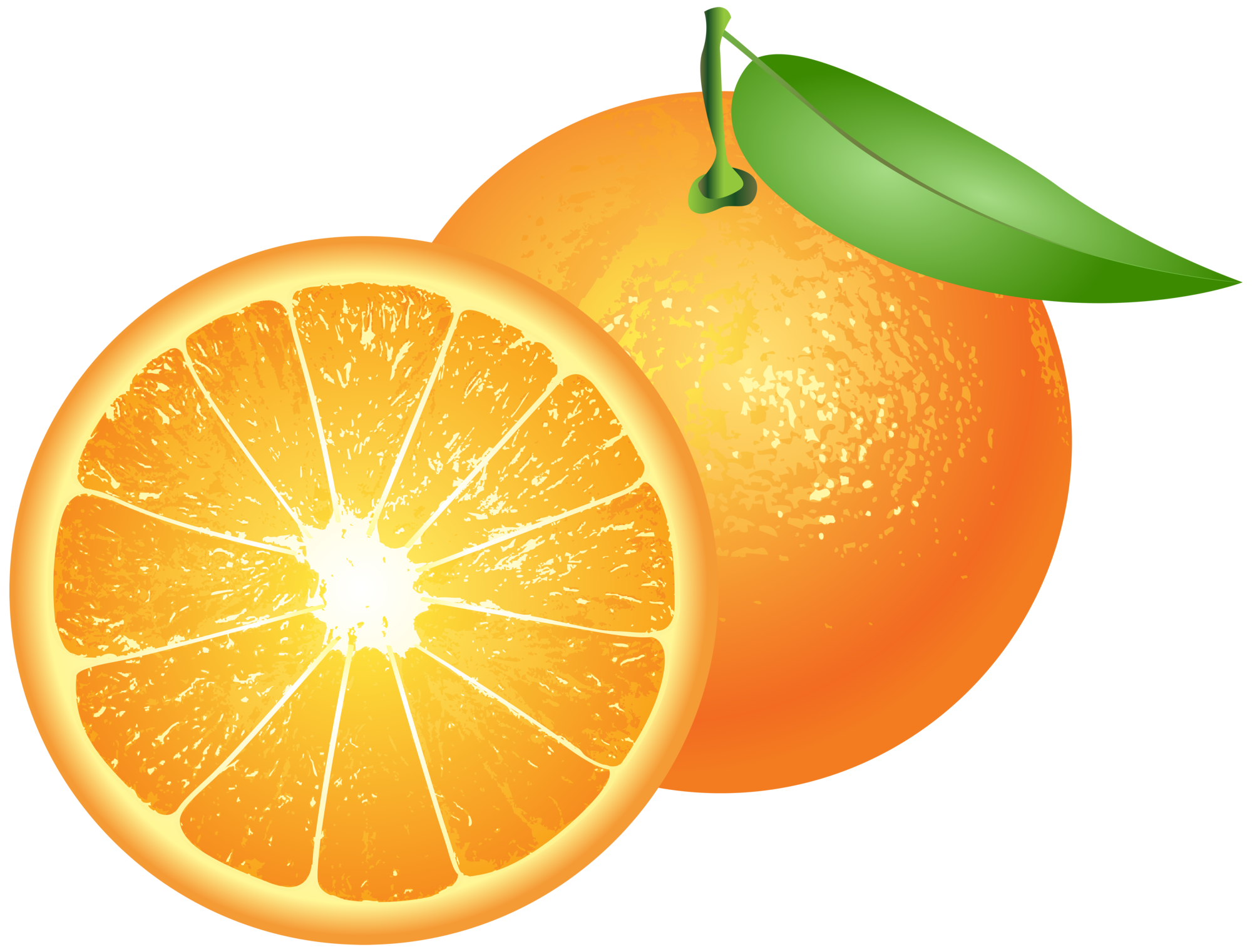 oranges clipart