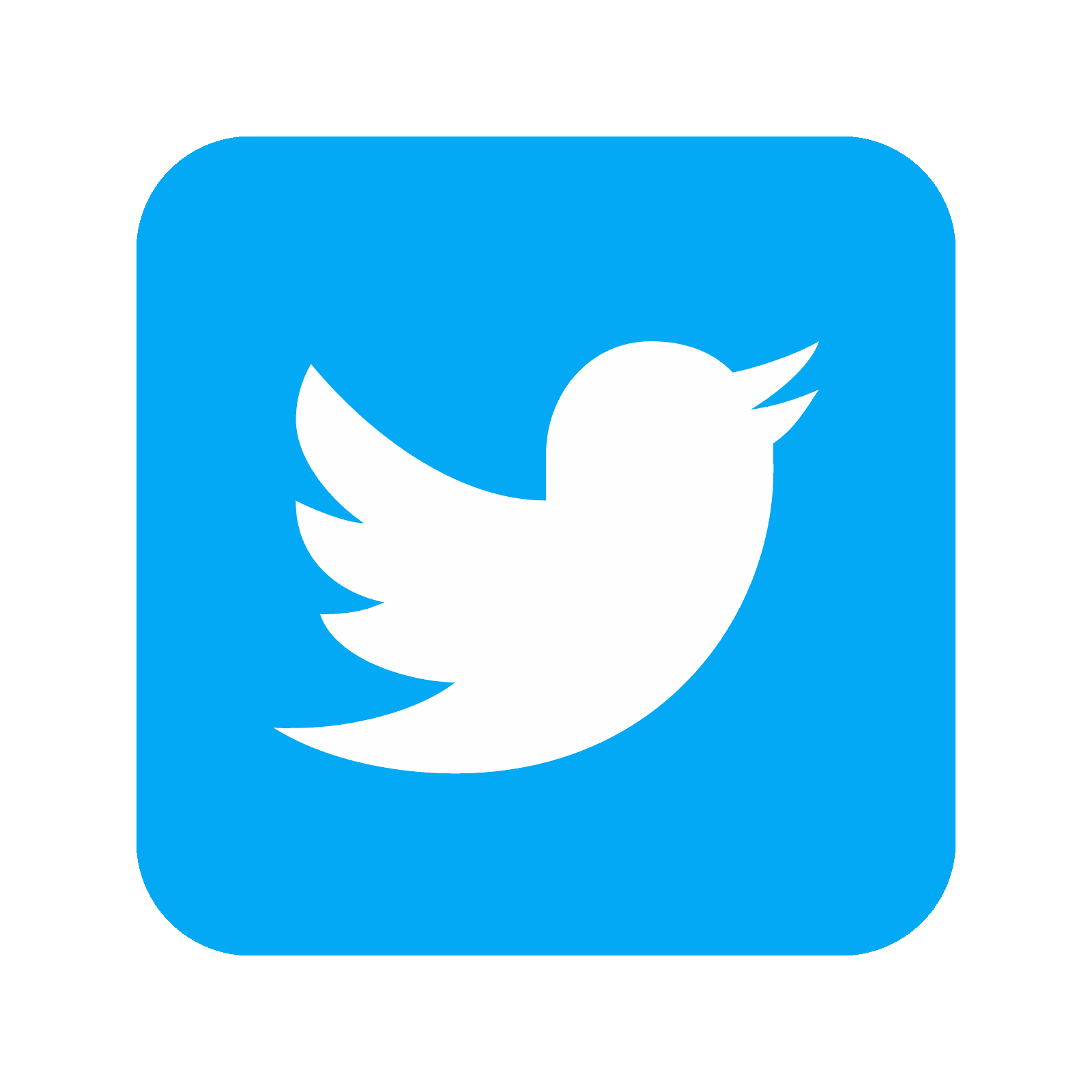 Twitter Logo Icon PNG