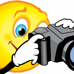 Camera Clip Art Free elephant clipart hatenylo.com