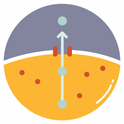 Team:Calgary/Team - 2017.igem.org