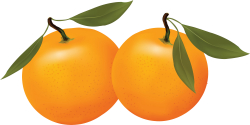 Free Orange Cliparts, Download Free Clip Art, Free Clip Art on ...