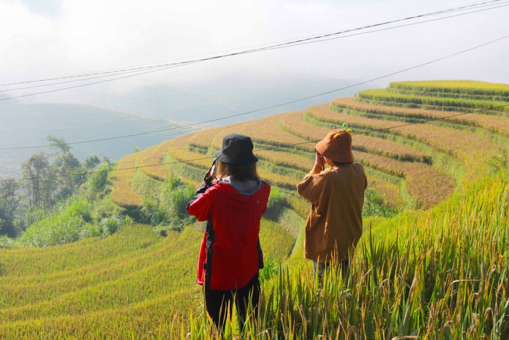 Mùa vàng Mù Cang Chải mùa thu